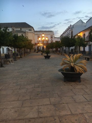Plaza Mayor, amanecer